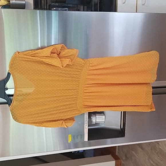 💕SCOTCH & SODA💕 Dotted Lace Ruffled Pom-Pom Dress ~ Yellow Medium NWOT - Picture 9 of 14